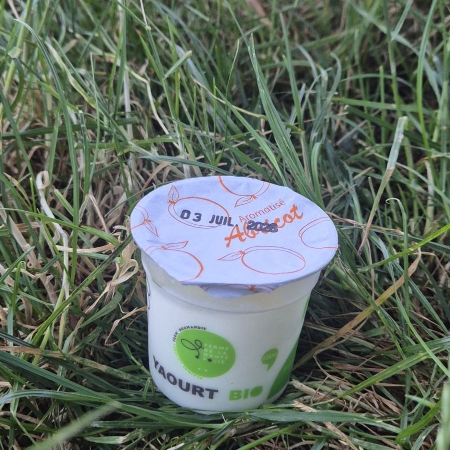 Yaourt aromatisé Abricot - 100g