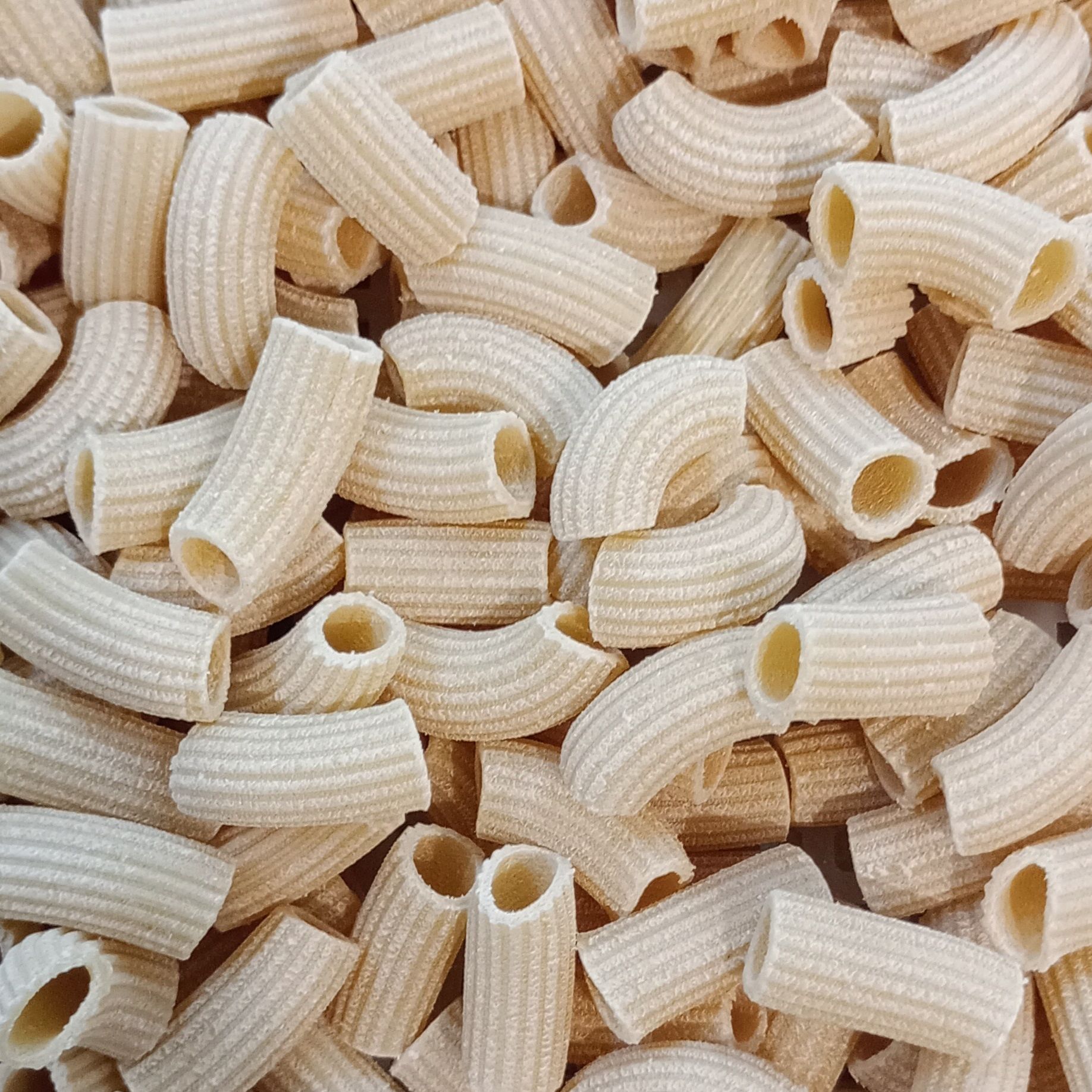 Rigatoni complètes vrac