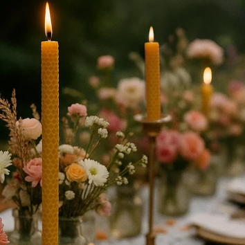 Bougie en cire d'abeilles - Chandelle Roulée 1