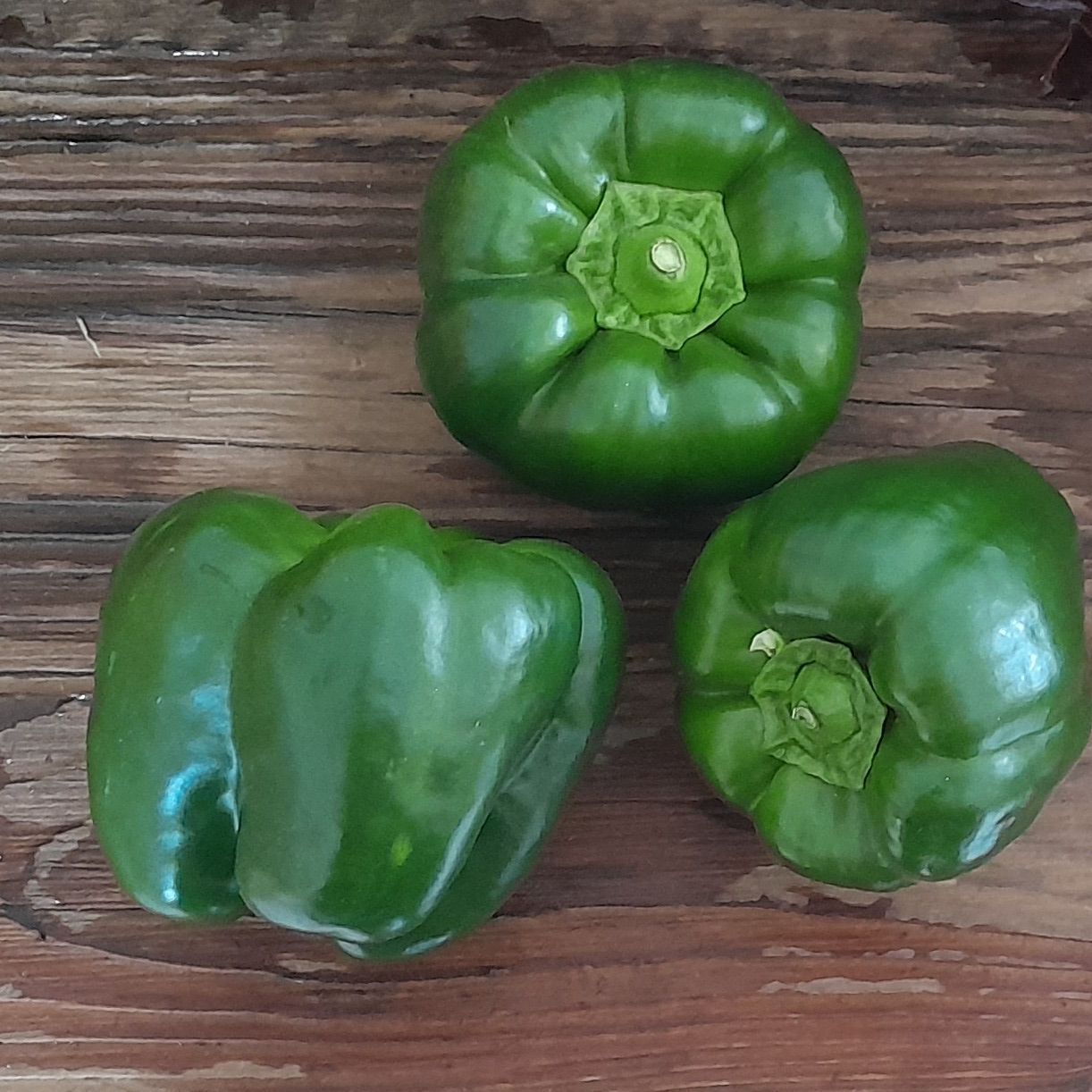 Poivron Vert