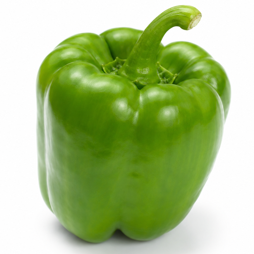 Poivron Vert