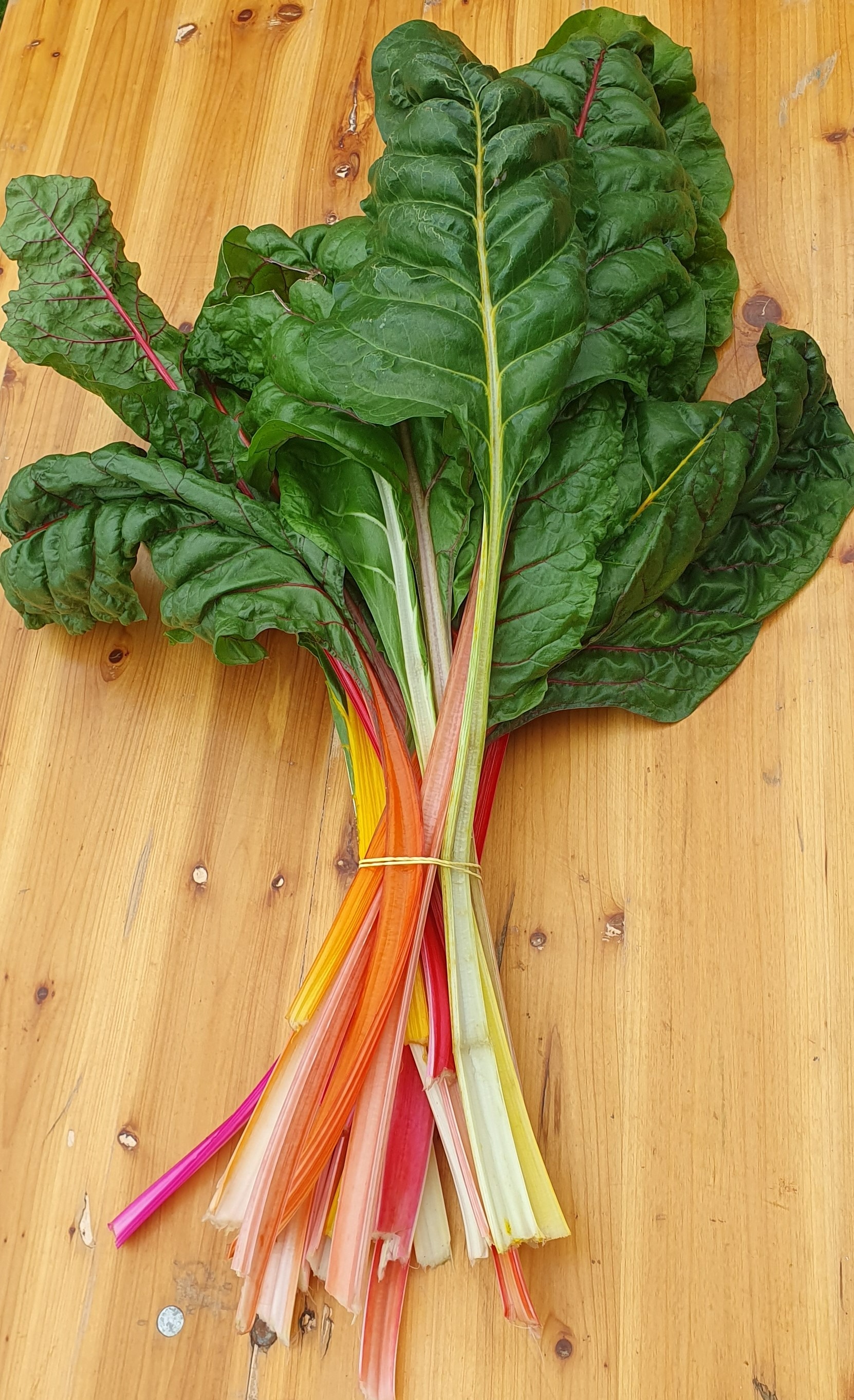 Côtes de bette arc en ciel - 500g