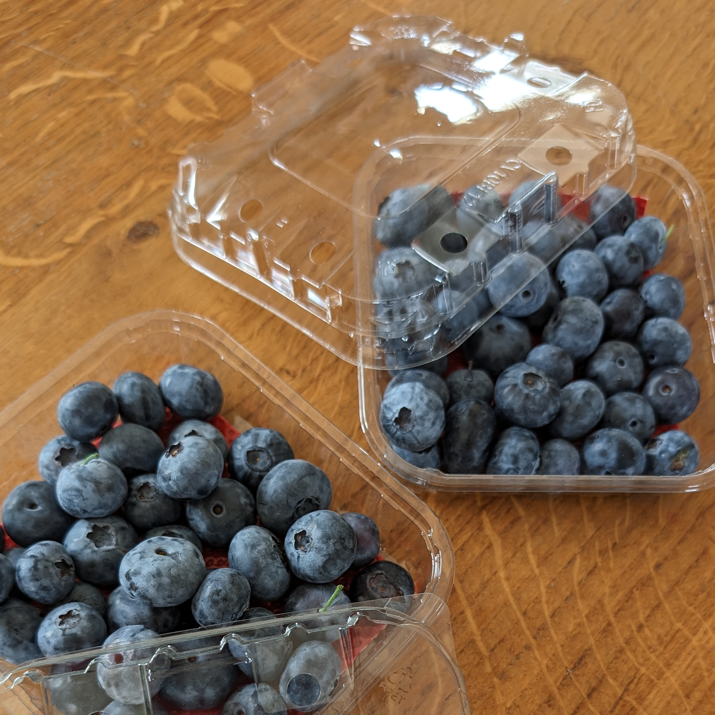 Myrtilles fraiches récoltées à la mains - 500g