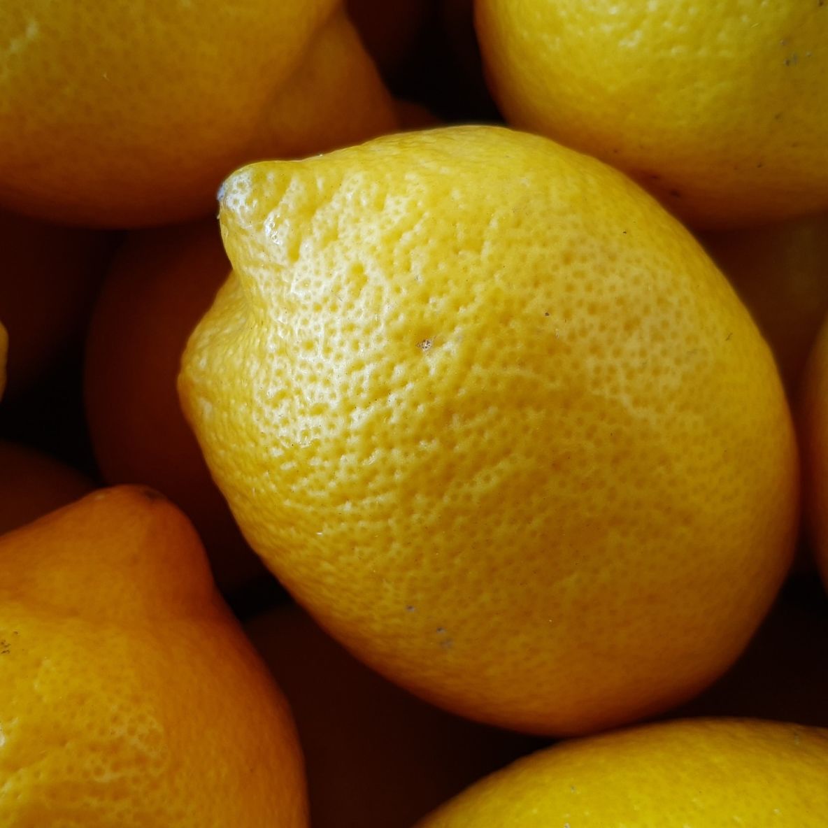CITRON JAUNE VERNA - 500g