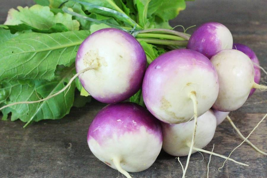 Navets (Botte) - 0,6kg