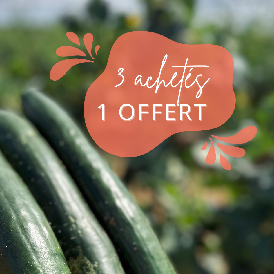 3 concombres + 1 offert