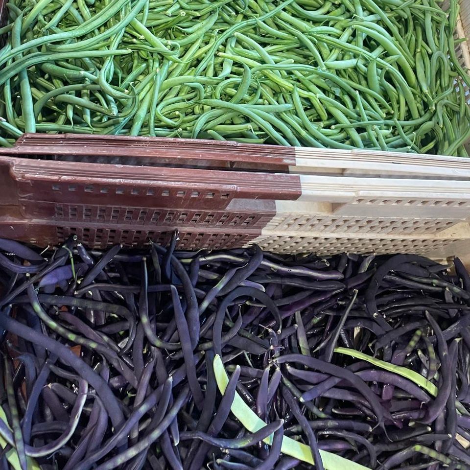 Haricots verts - violet - 500g