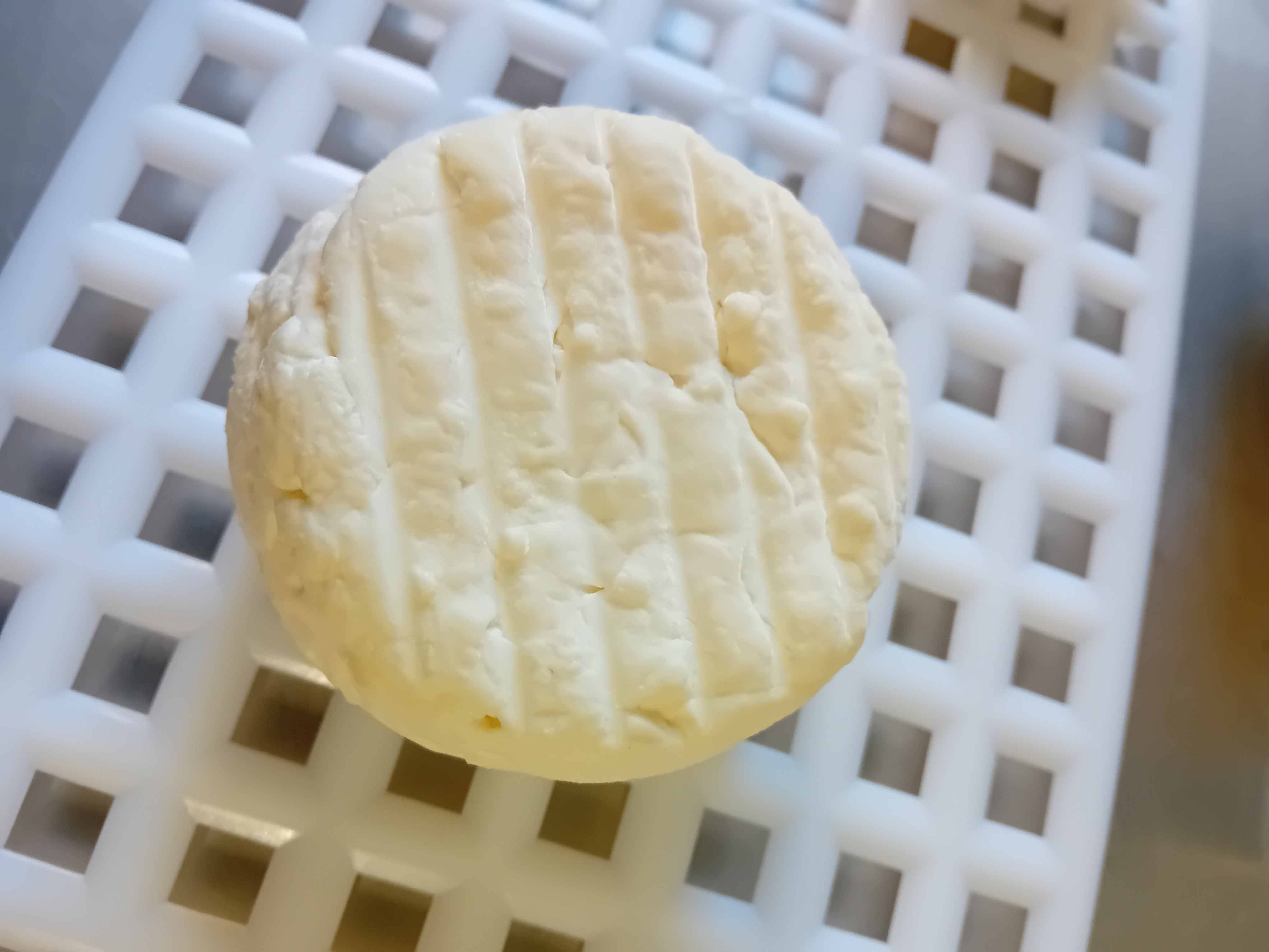 Fromage petit frais chèvre/brebis