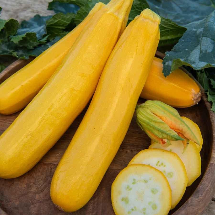 Courgettes jaunes (calibre moyen)