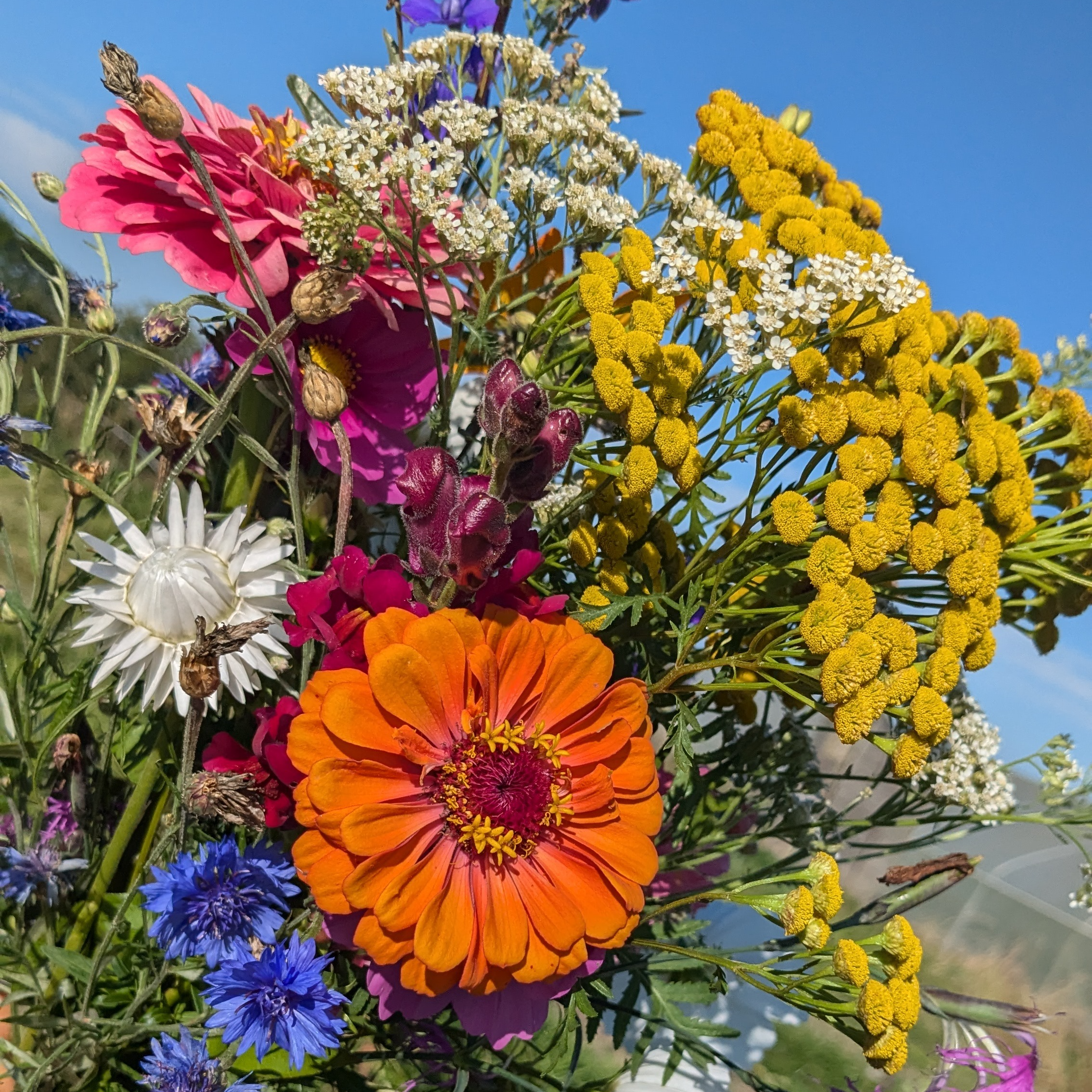 Bouquet De Fleurs (Grand)