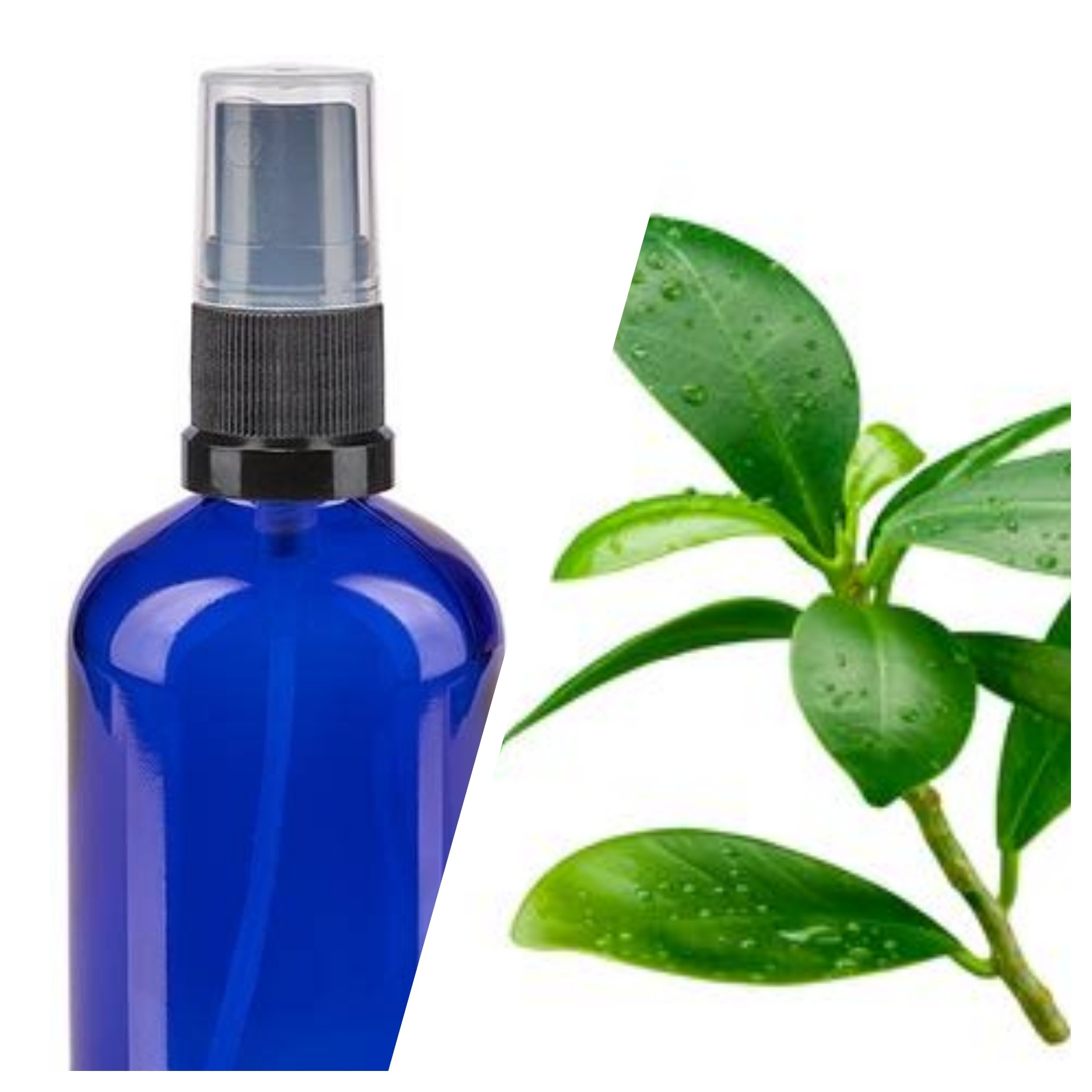 Hydrolat de citronniers spray (plante distillée )