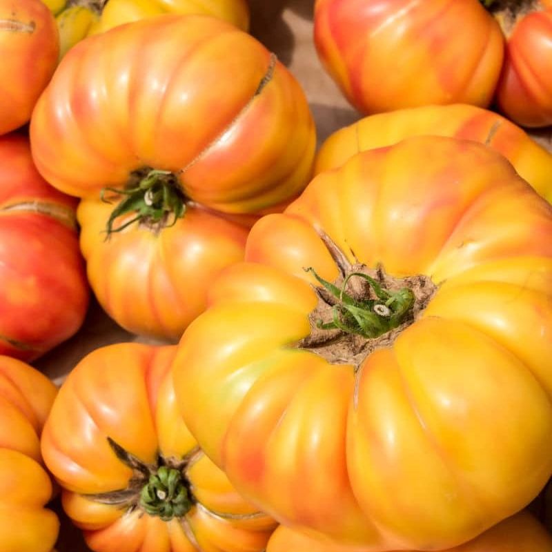 Tomate Ananas