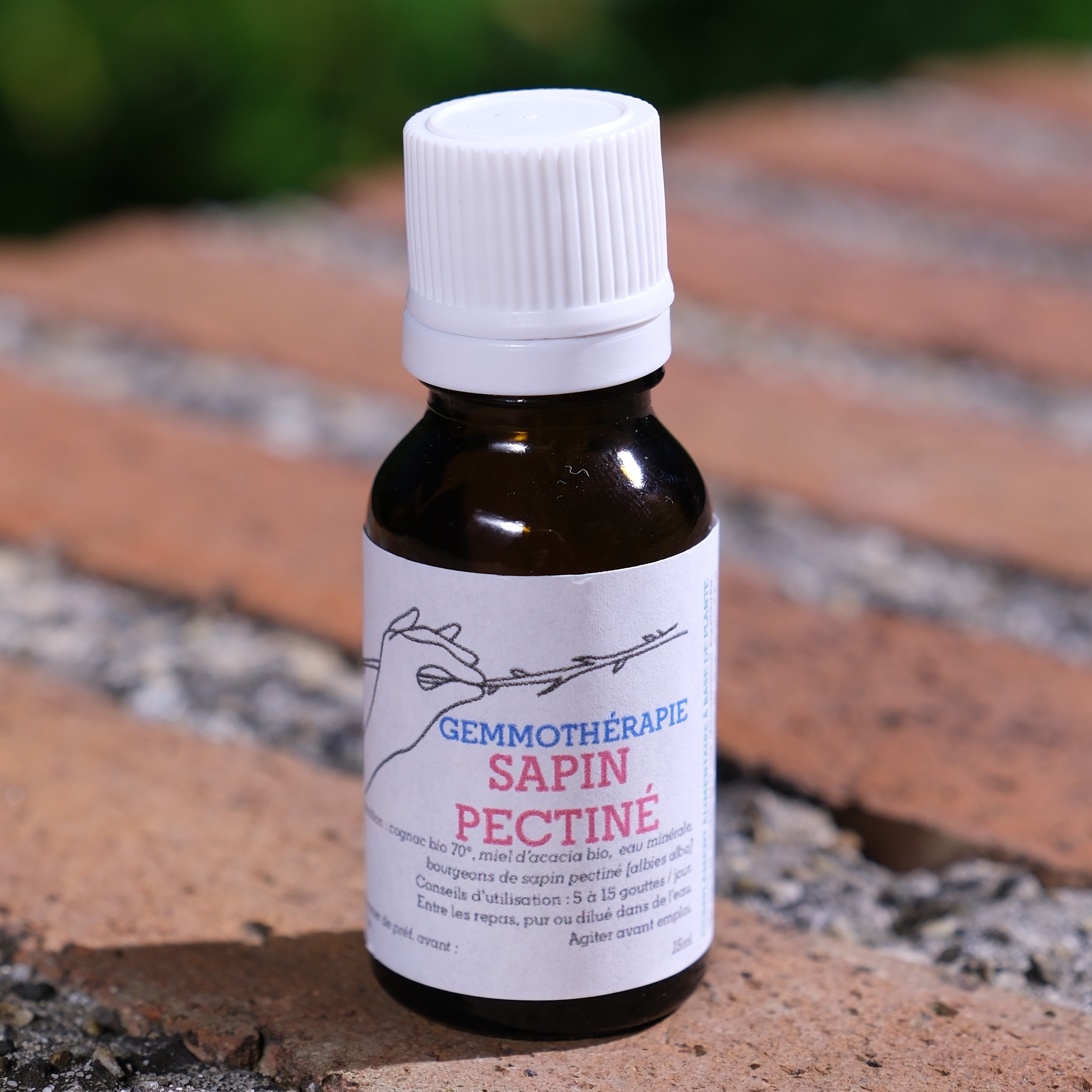 Sapin pectiné • Reminéralisant, Croissance, Dentition & Cheveux - 15ml