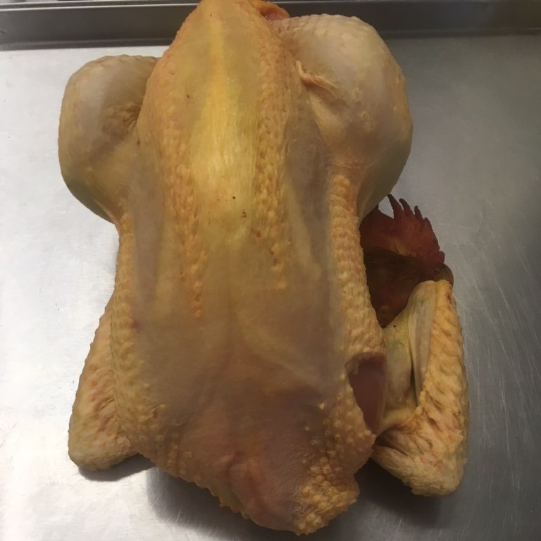POULET - 1,6kg