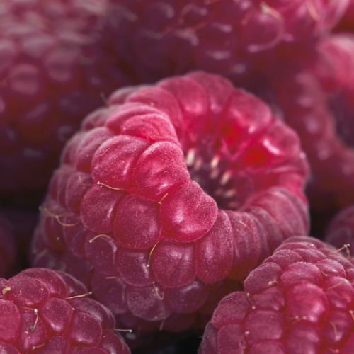 FRAMBOISIER Royalty Bio