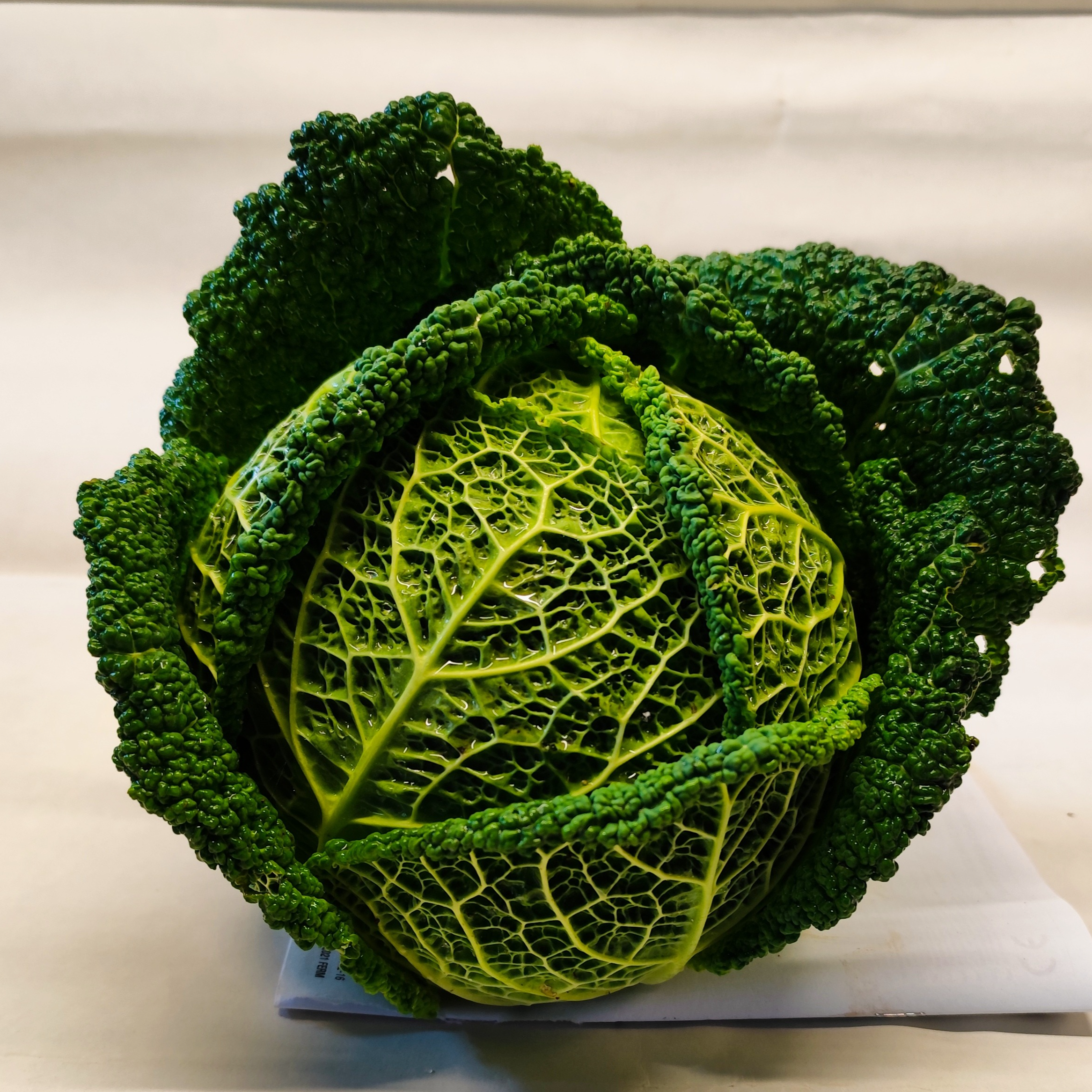 Chou Vert, chou Frisé - 500g