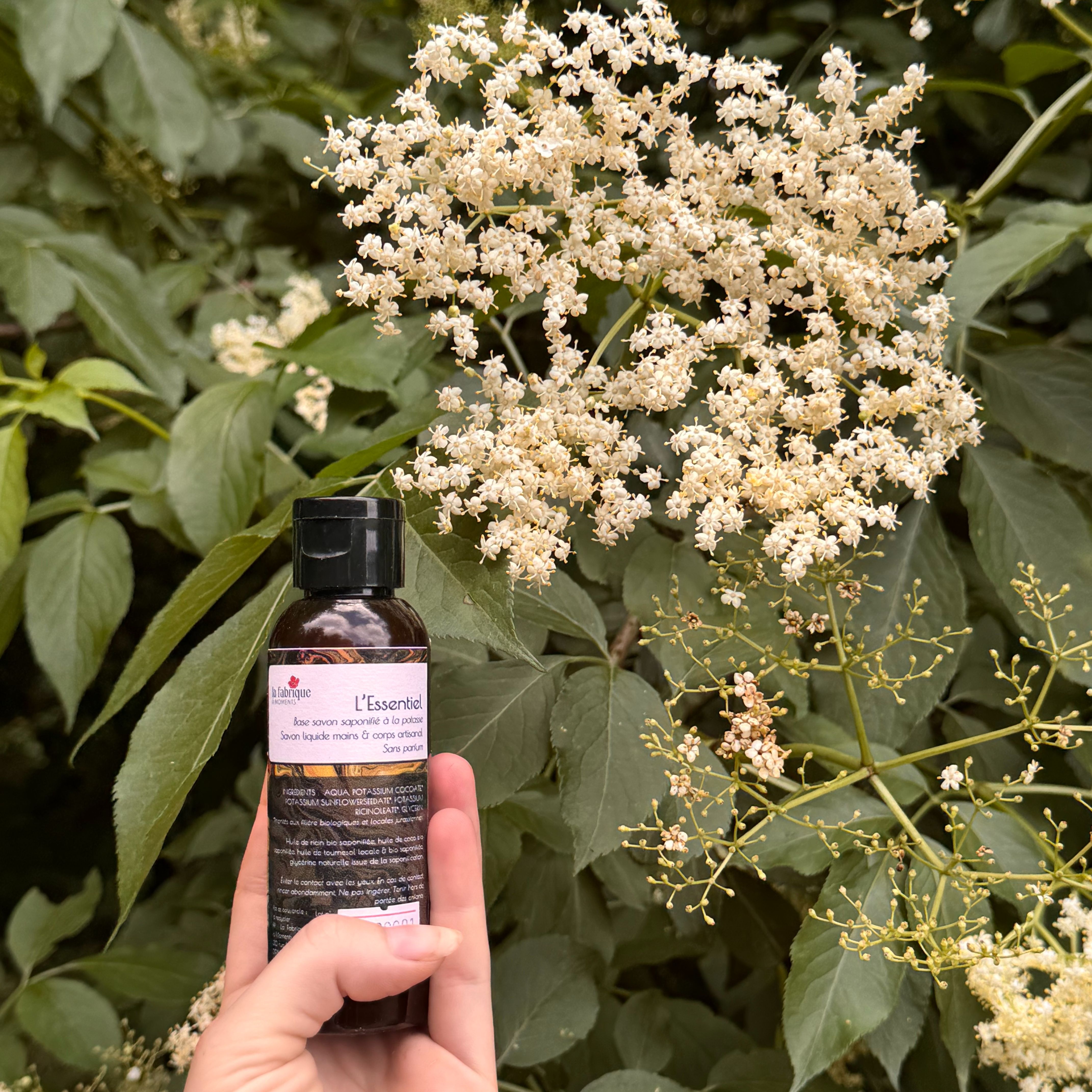 L'Essentiel - Savon liquide sans parfum petit format - 50ml