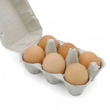 Boîte de 6 œufs Bio