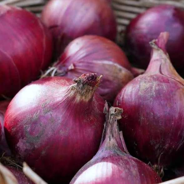Oignon Rouge