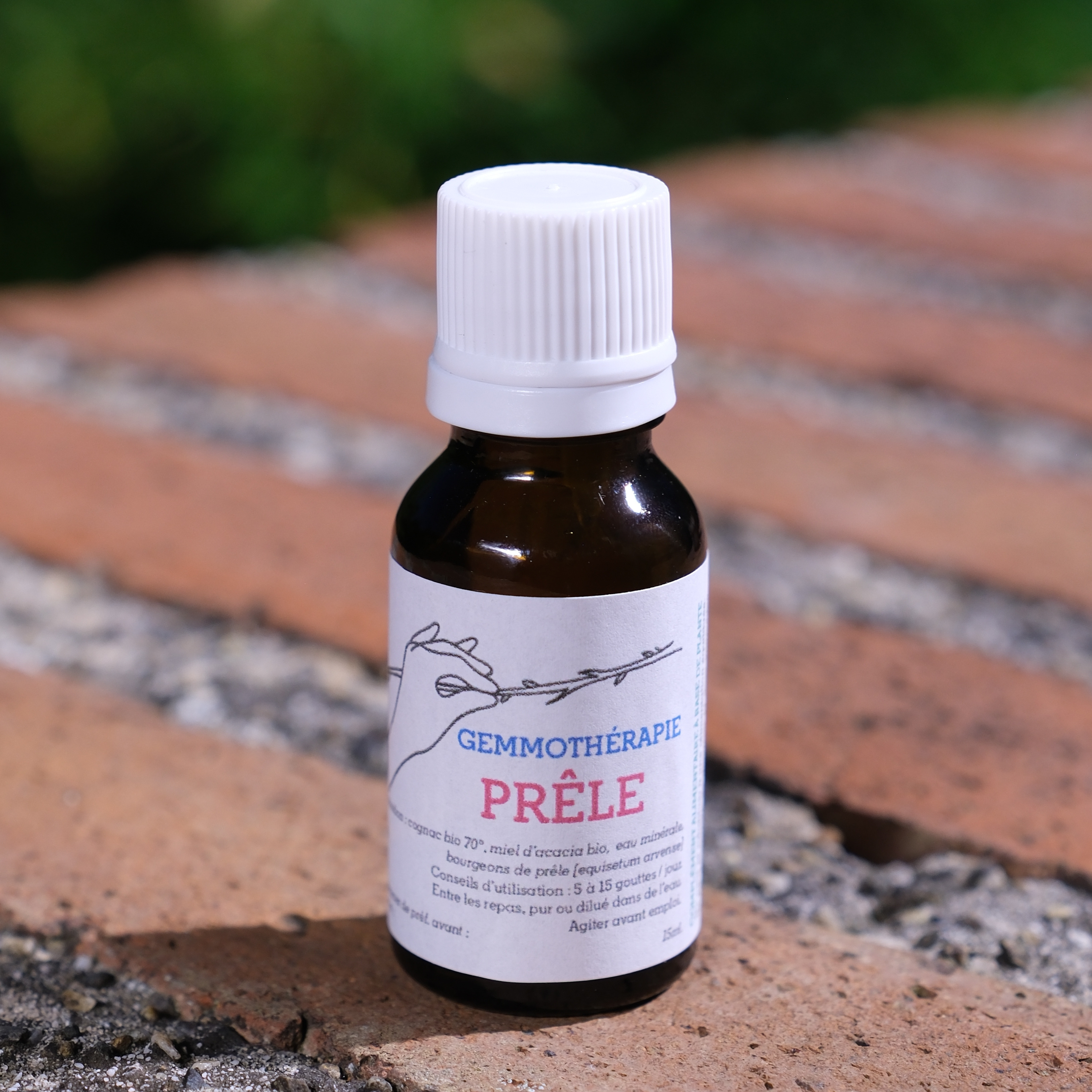 Prêle • Reminéralisation, Articulations & Peau - 15ml
