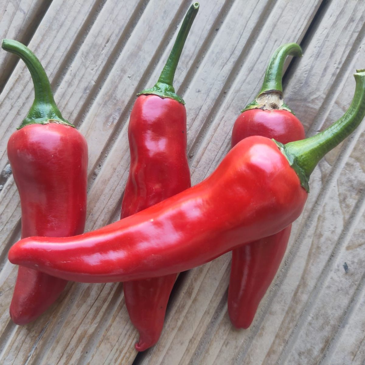 Piment