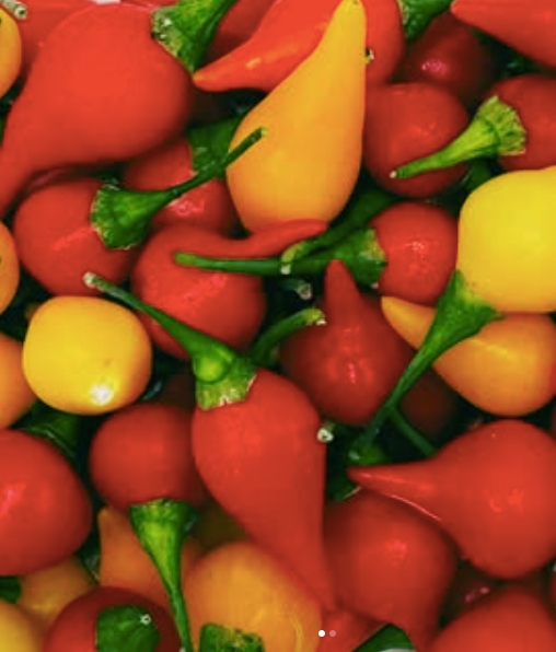 Mini piment goutte rouge (50u) (piment force 1)