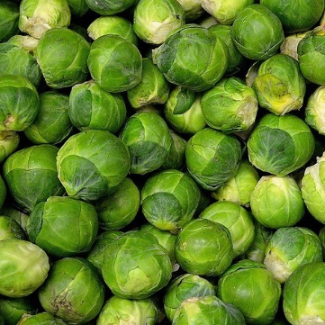 Chou Bruxelles - 500g