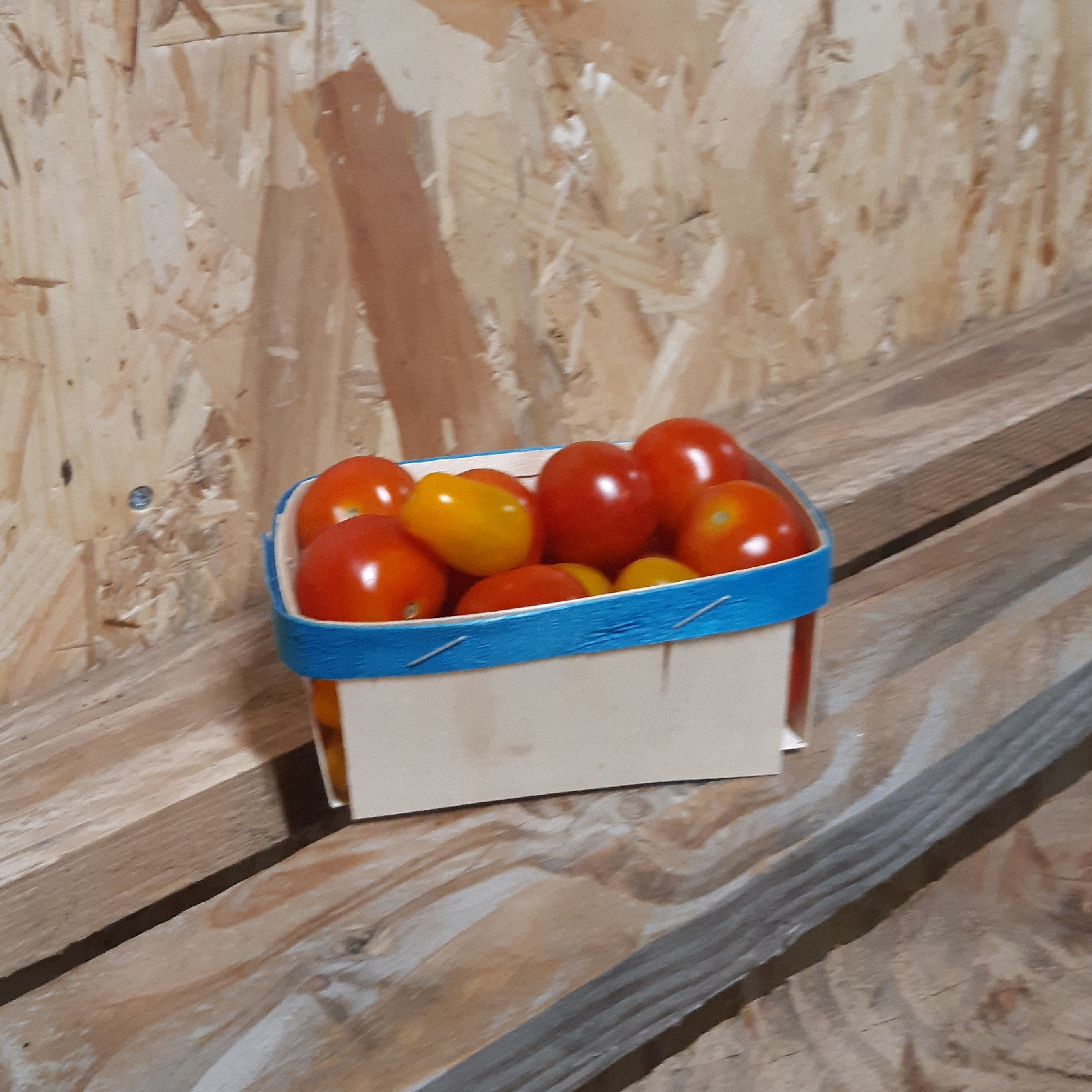Melange Tomates cerise 300 gr