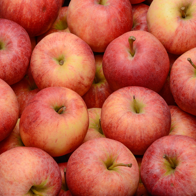 Pomme ‘Fuji’ (très sucrée, à croquer)