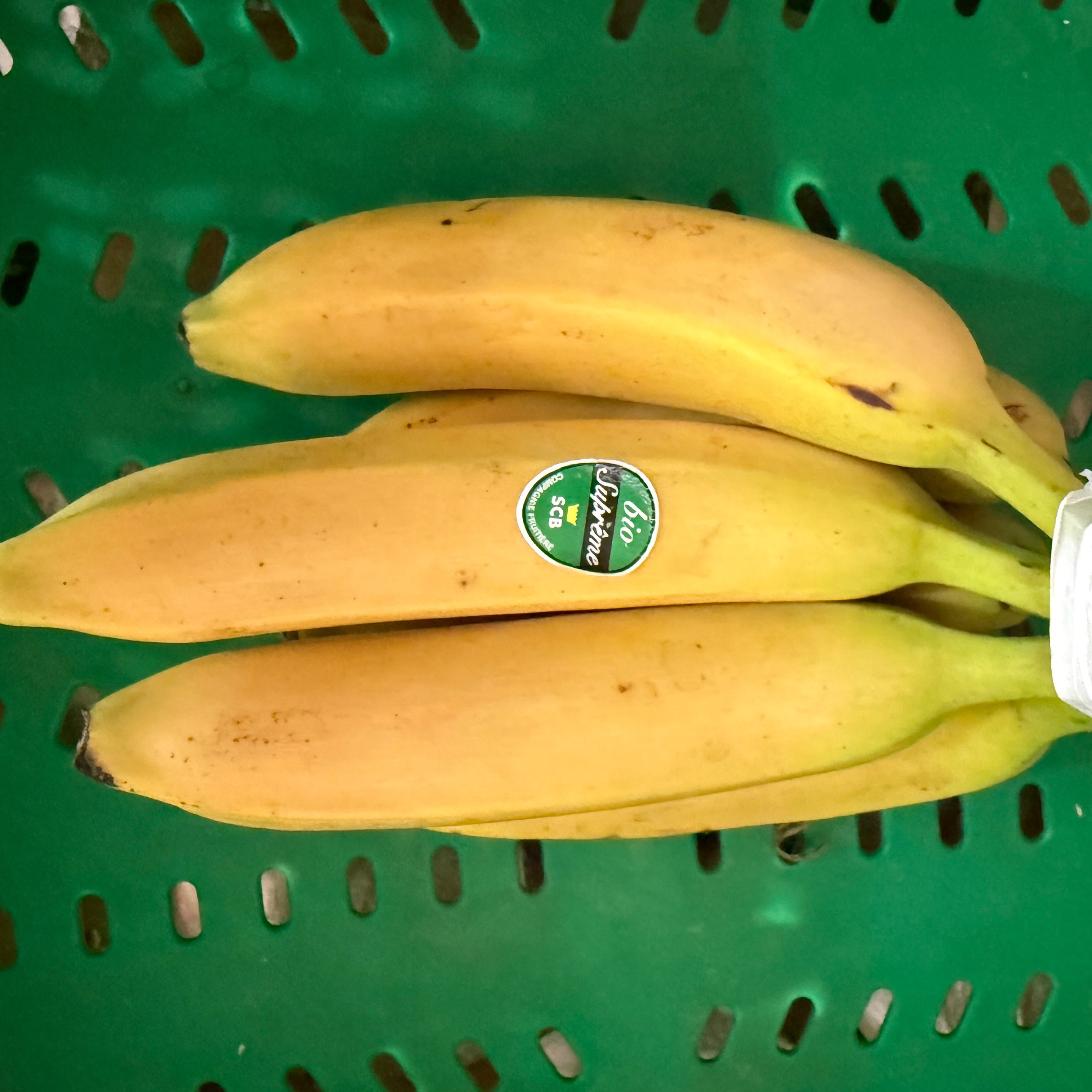 Banane bio