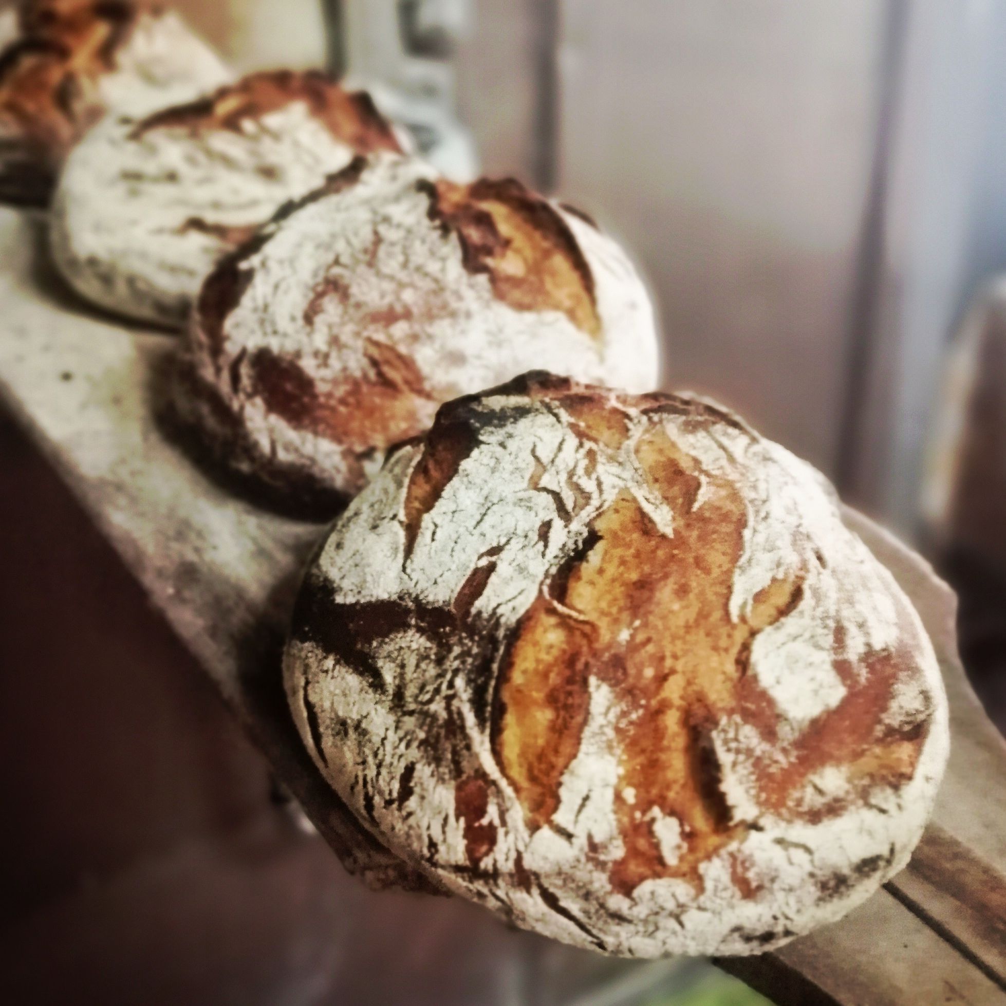 Pain de Campagne
