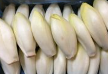 Endivette 500G - 500g