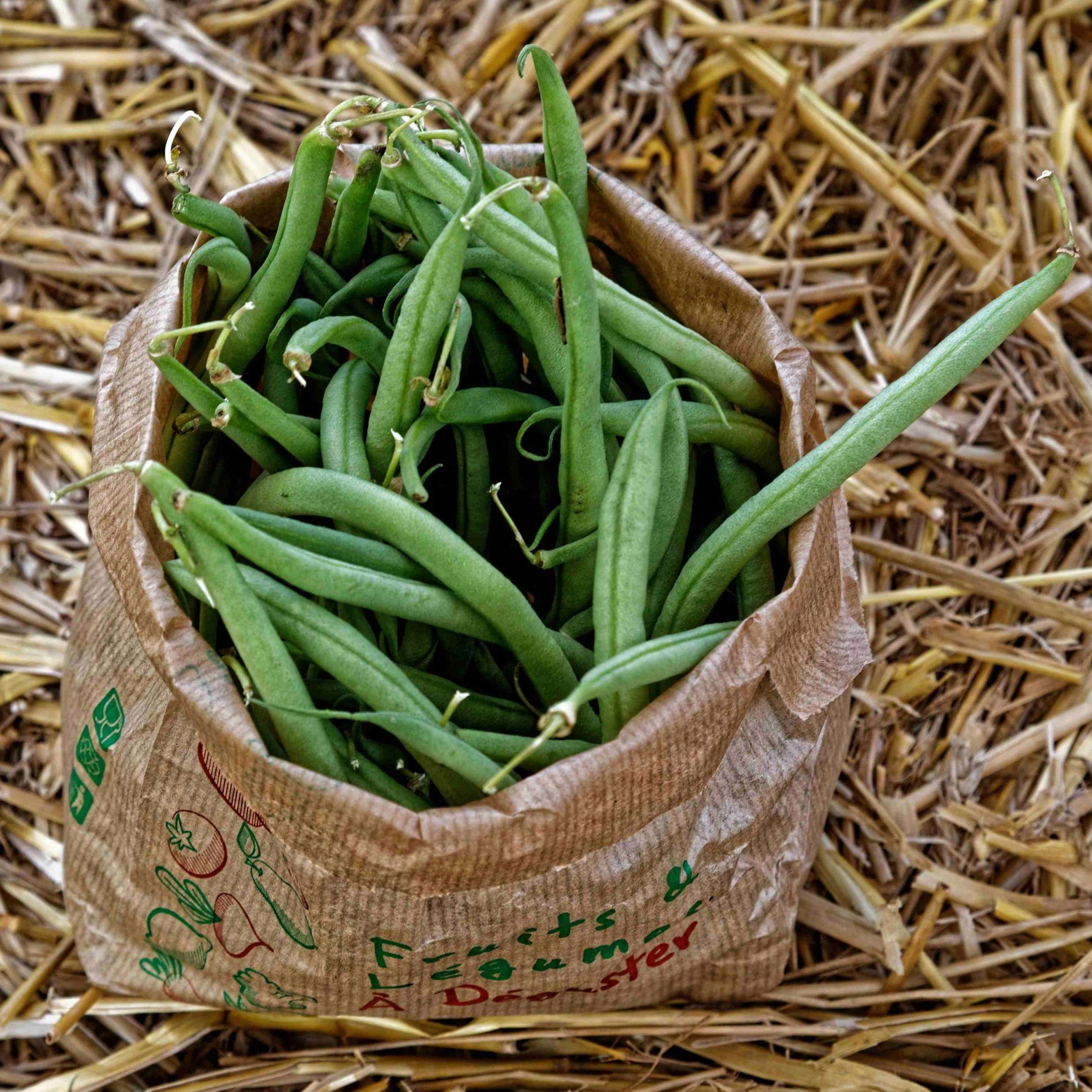 Haricot vert - 250g