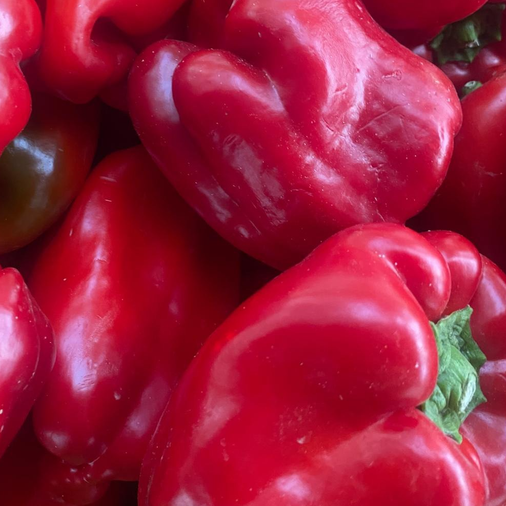 Poivron carré rouge - 500g
