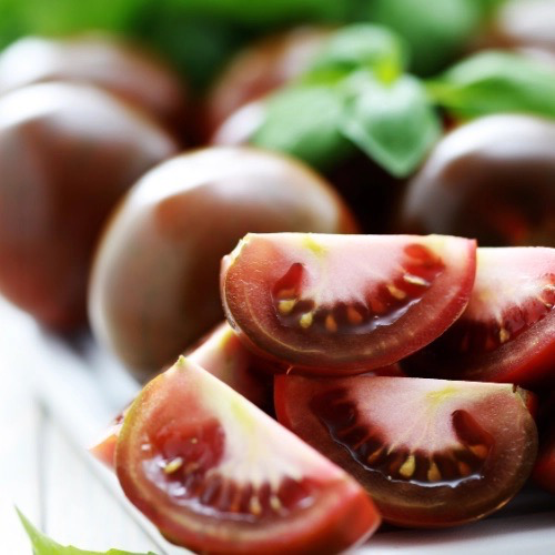 TOMATE Noire Russe Bio