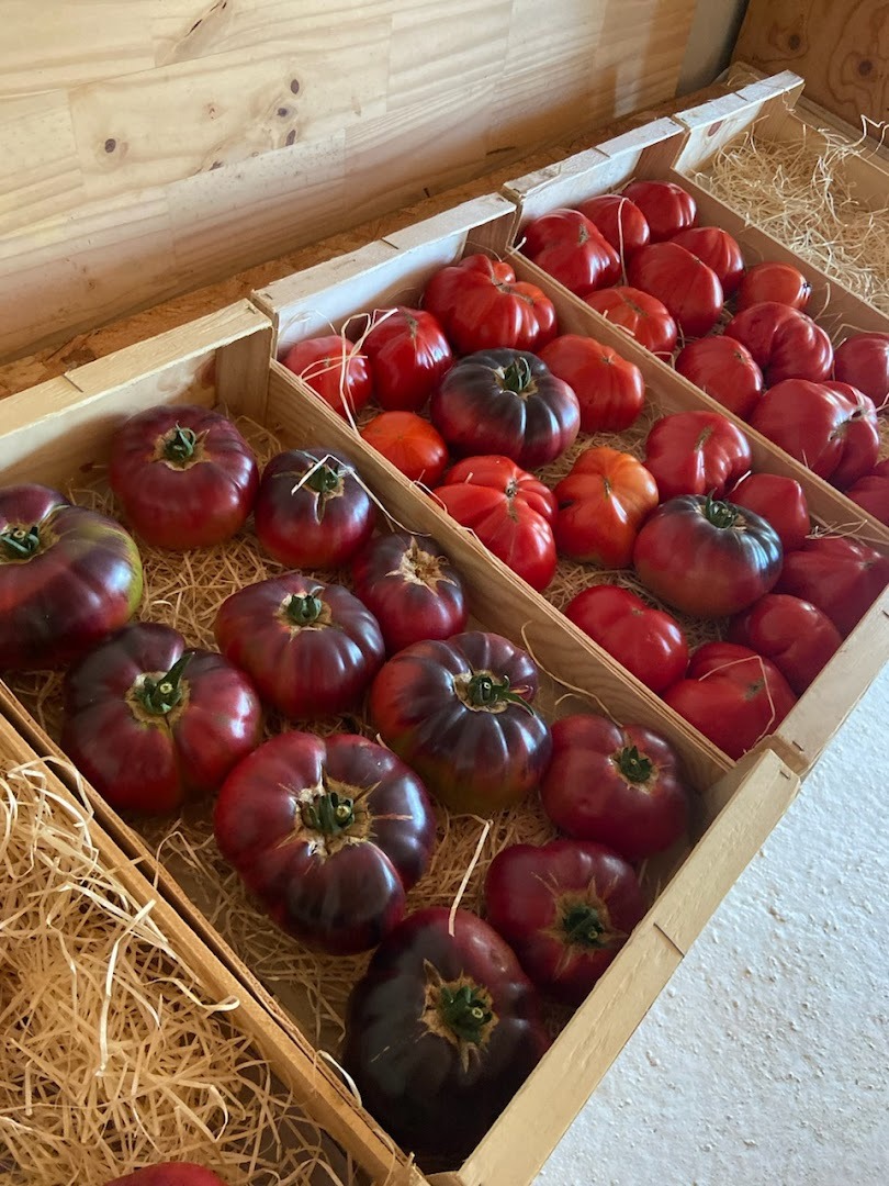 Cagette de Tomates anciennes