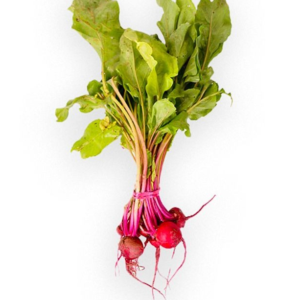Mini betteraves chioggia
