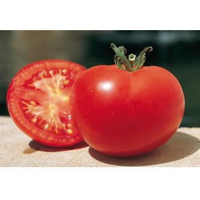 Tomate rouge ST PIERRE