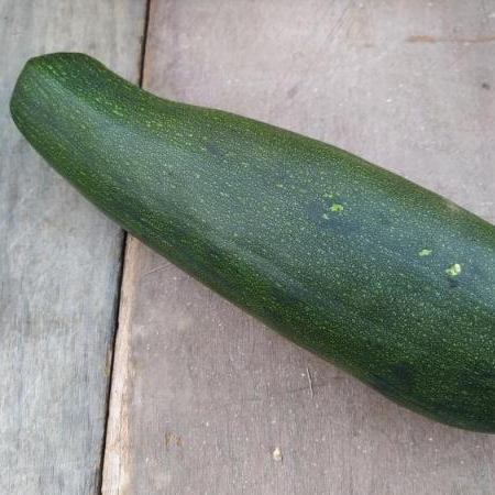 Courgette massue (pièce) - 1,2kg