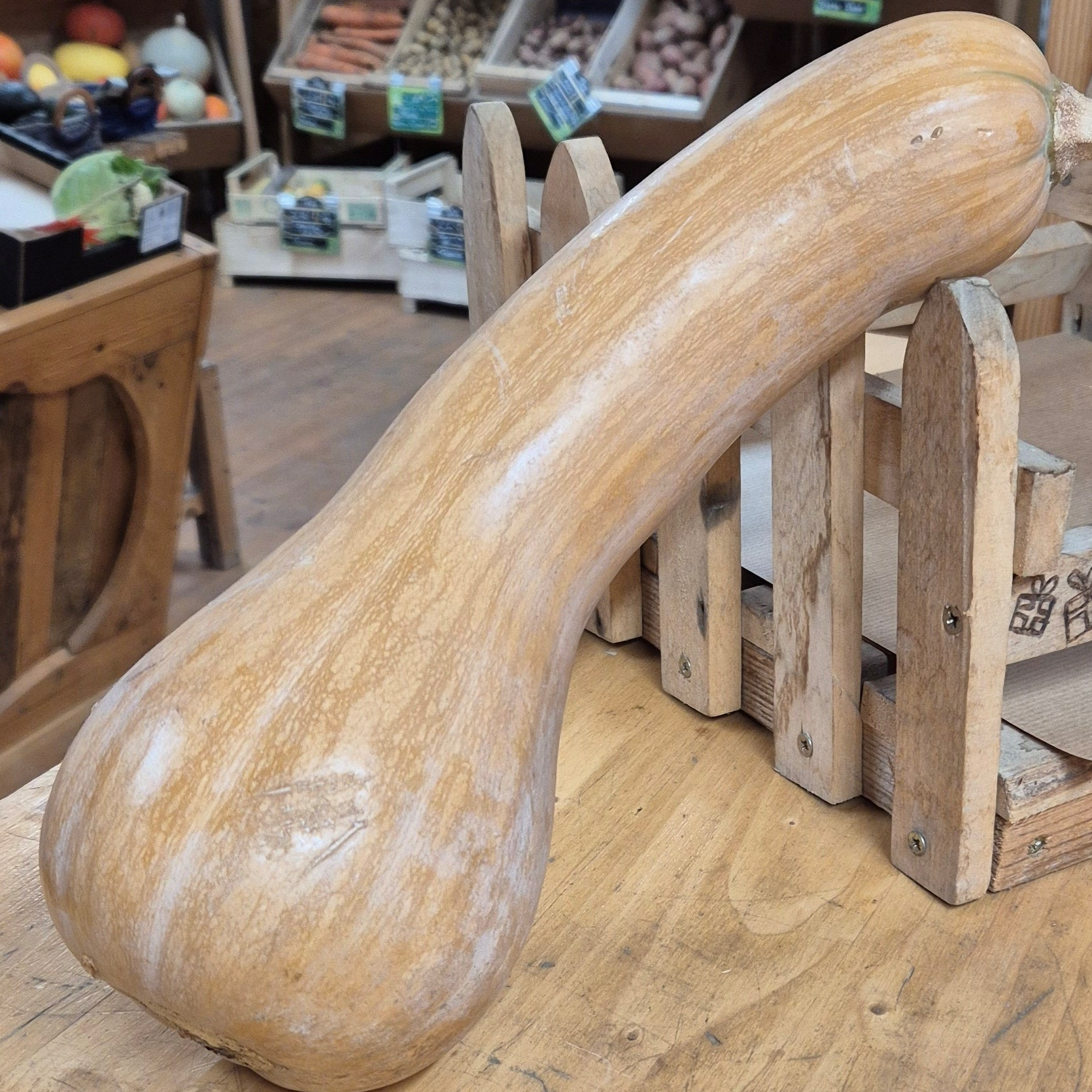 Courge Longue de Nice - 1,4kg