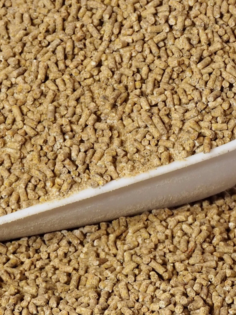 Aliment Poule Pondeuse en vrac