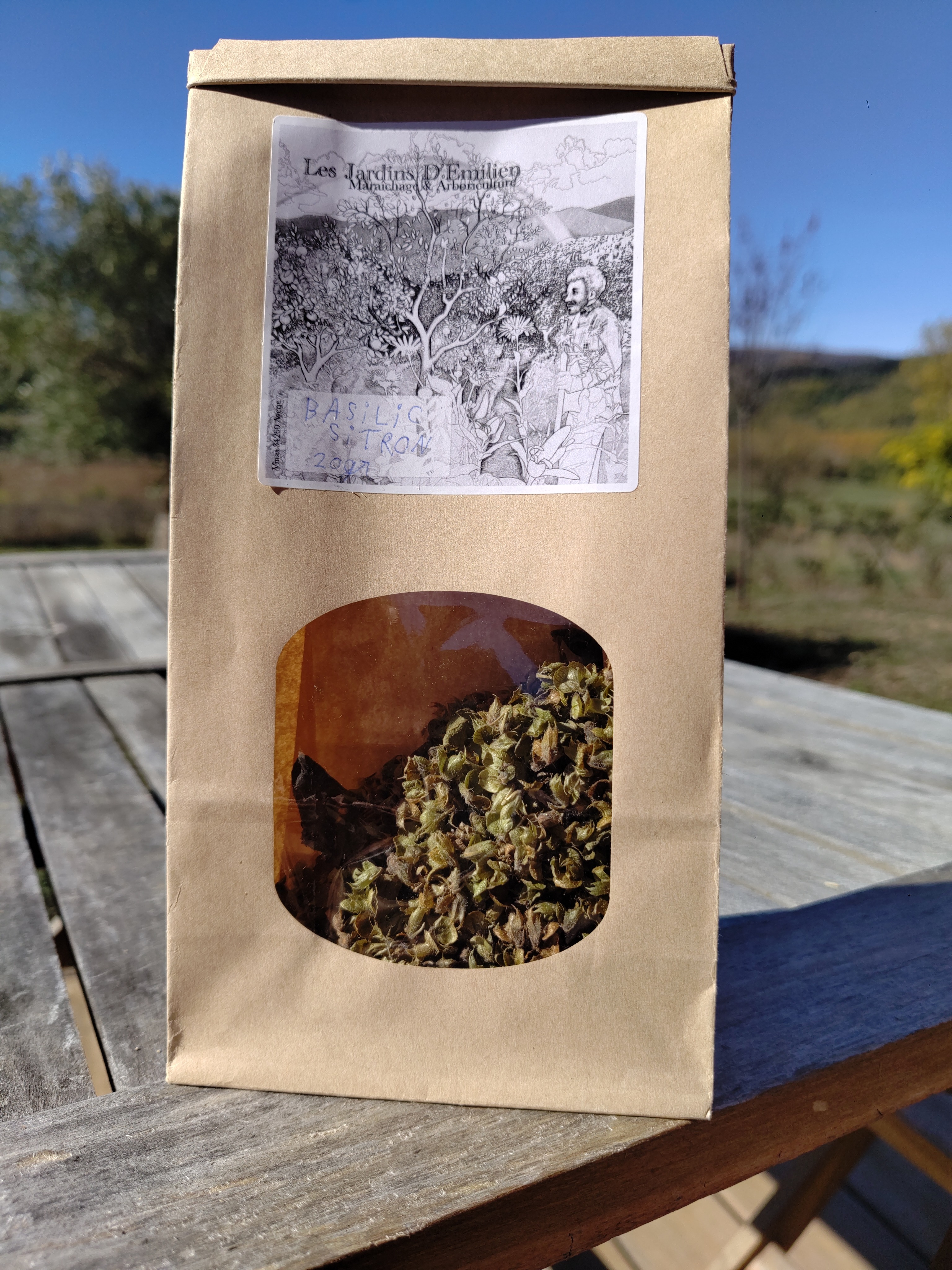 Tisane de graines de Basilic citron