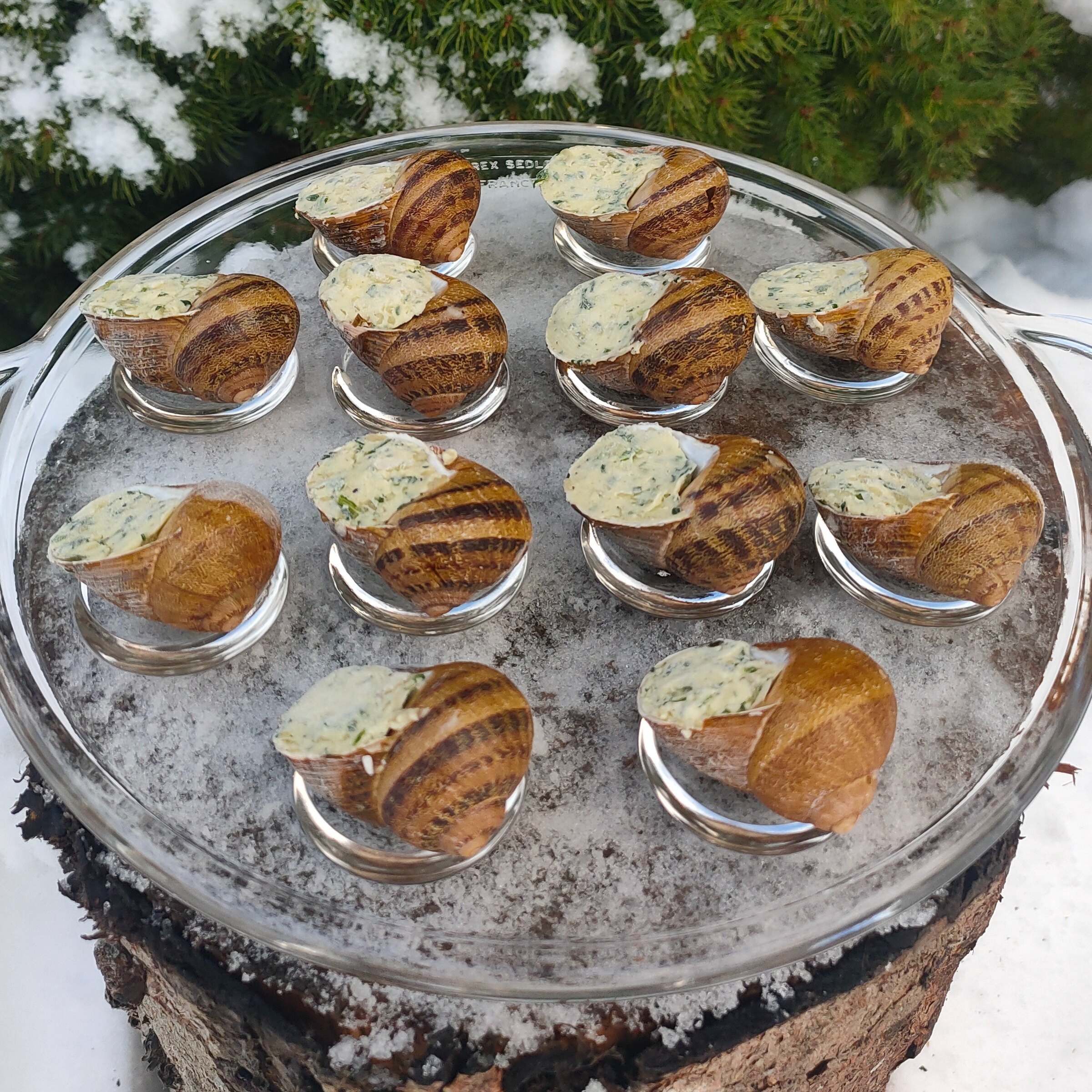 COQUILLES BEURRE PERSILLE PAR 24