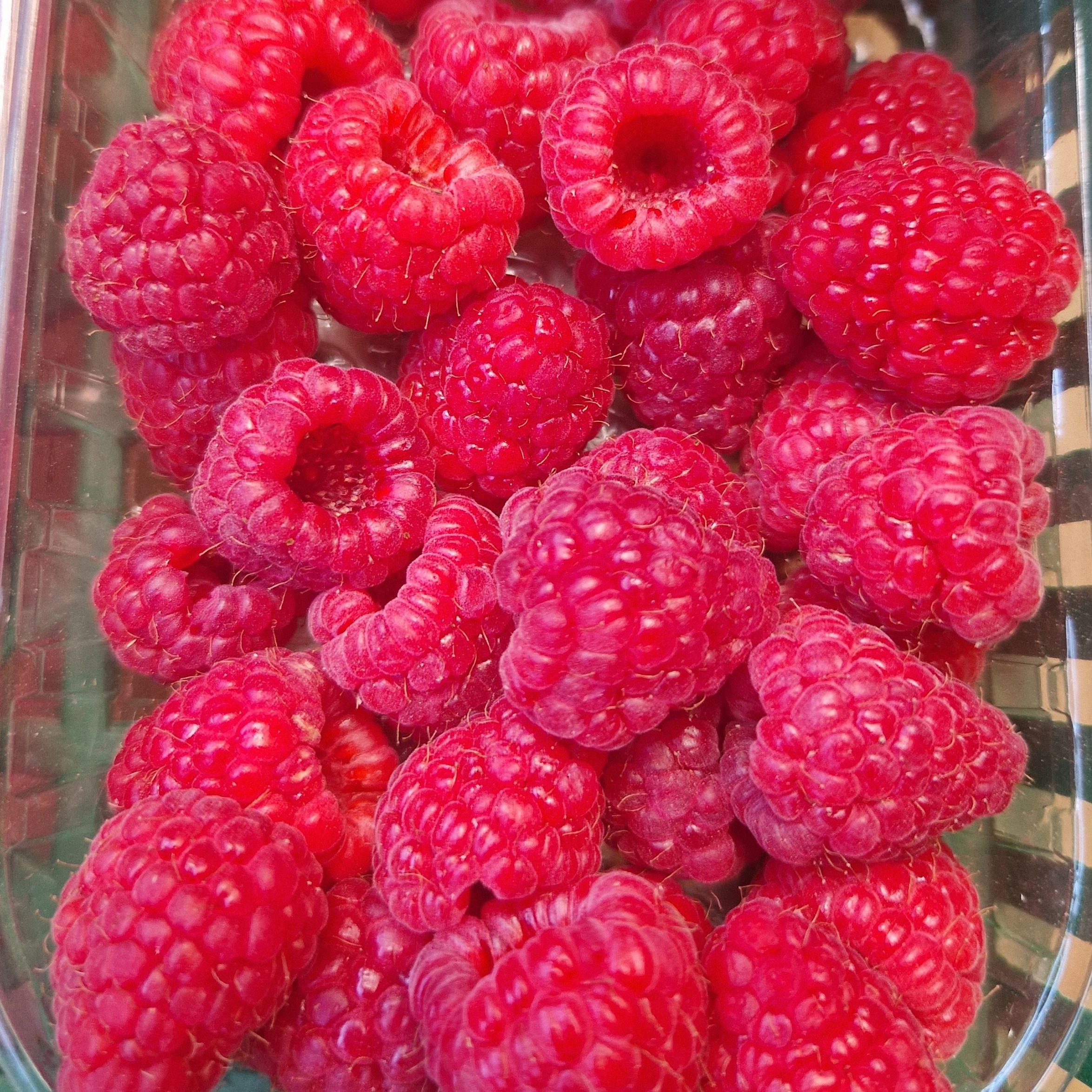 FRAMBOISES - 125g