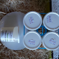 Crème dessert café - 120ml