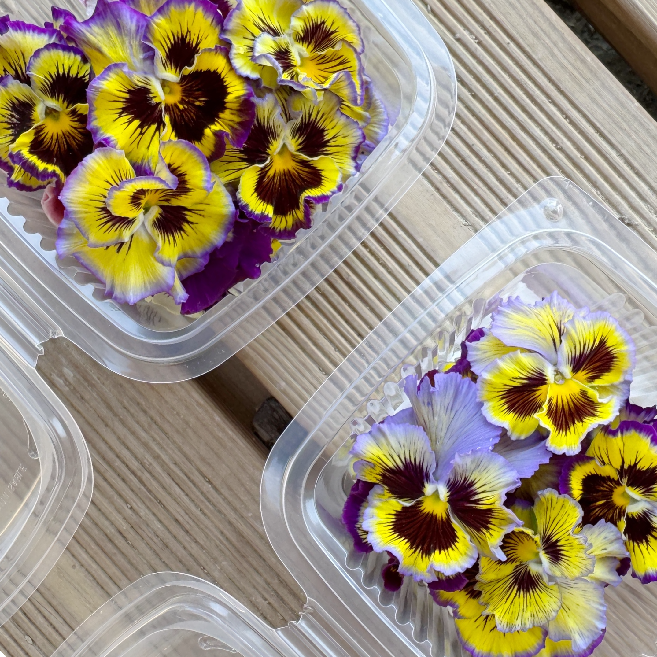 Boite De Fleurs Comestibles mix