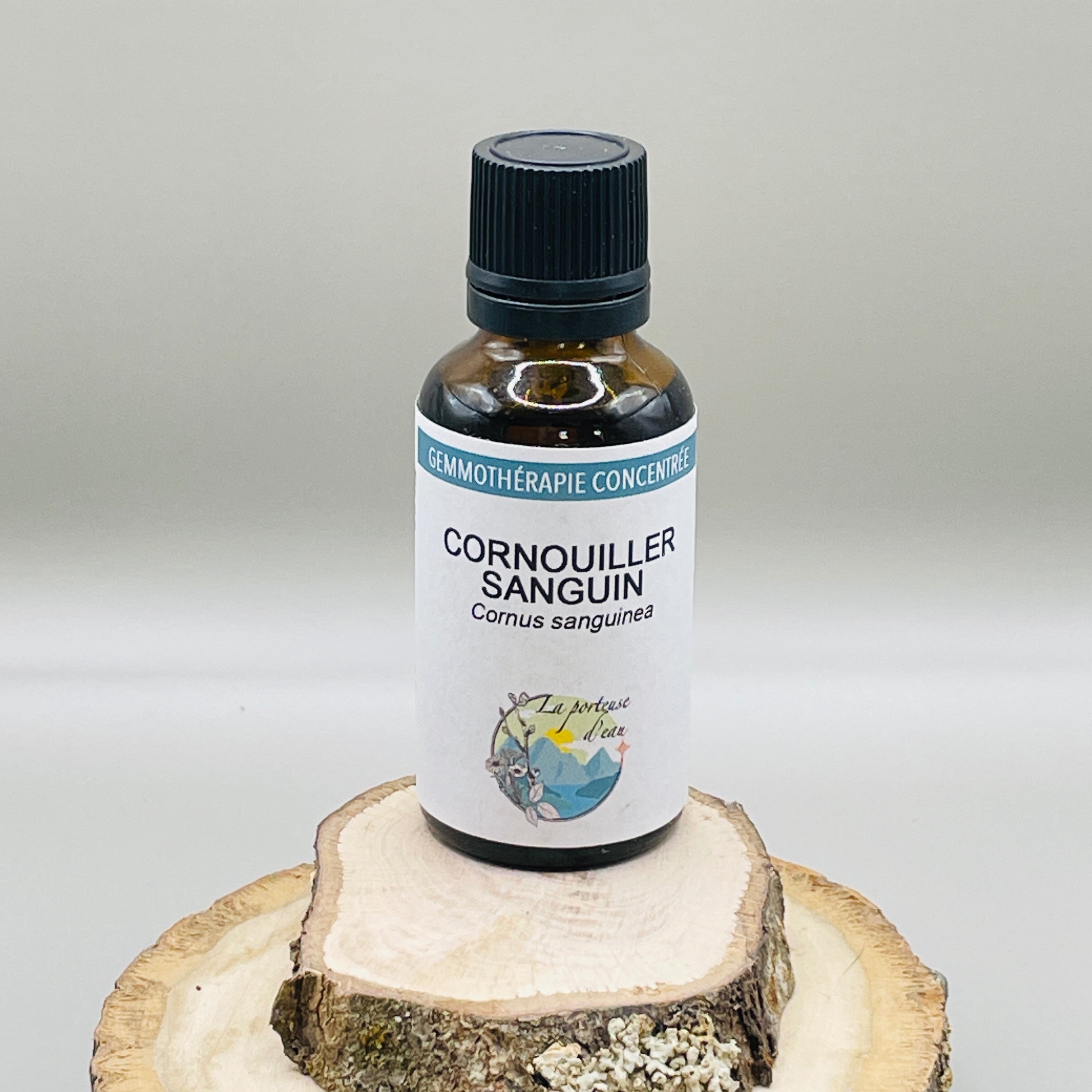 Cornouiller sanguin
Cornus sanguinea - 30ml