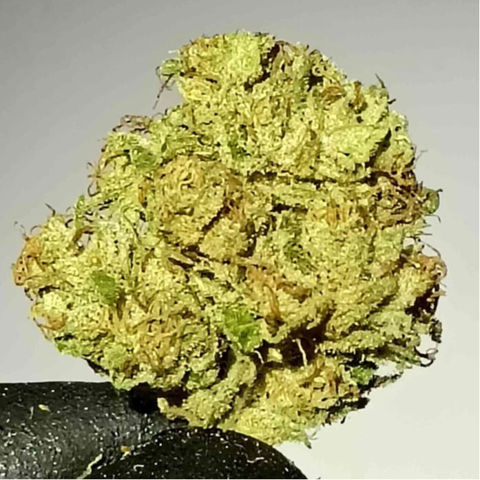 Sour Diesel Candy "Light Dep" 2025