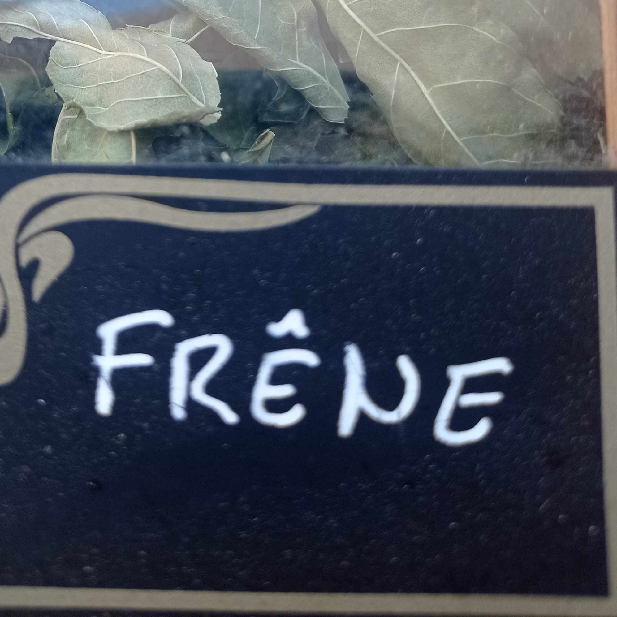 frêne sachet de 25g