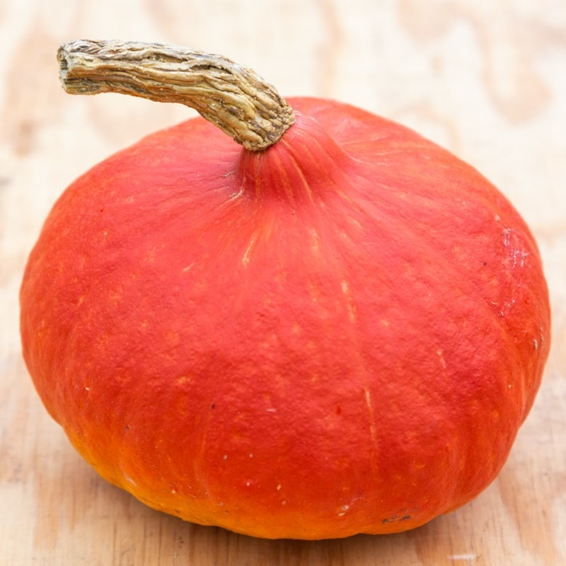 Potimarron